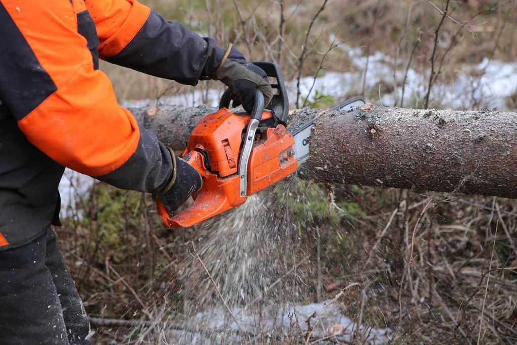 explotación forestal sujeta al reglamento EUDR